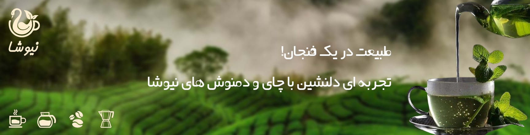 محصولات نیوشا